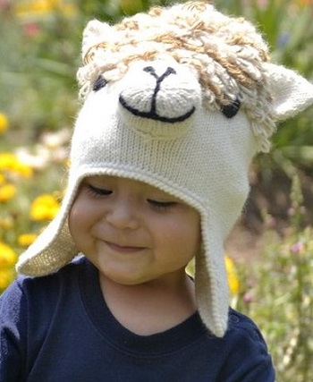 Alpaca Face Kids Hat for sale by Purely Alpaca