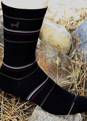 Logo Alpaca Socks