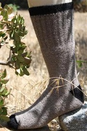 Outdoor Adventure Alpaca Sock